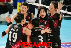 Pelatih Klub Voli, Membesarkan Nama   Megawati Dihantam Skandal Kekerasan