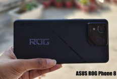 ZTE Nubia Red Magic 9 Pro+ Vs ASUS ROG Phone 8 Pro: Siapa yang Terbaik?