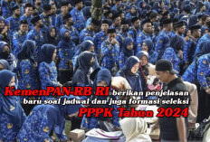 Soal Jadwal dan Formasi Seleksi PPPK, Begini Penjelasan Terbaru KemenPAN-RB RI, Ini Penjelasan Tentang Honorer