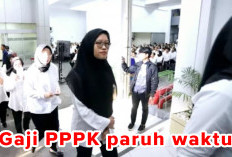 Honorer yang Gagal Seleksi Tahap 1 dan 2, Wajib Tahu Gaji PPPK Paruh Waktu Ini