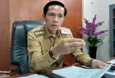 Maksimalkan Penertiban Hewan Ternak, Pemda Kaur Akan Bentuk Satgas Kecamatan, Desa Terkesan Cuek!