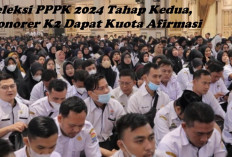 Seleksi PPPK 2024 Tahap Kedua, Honorer K2 Dapat Kuota Afirmasi, Begini Ketentuannya