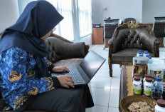 Tren Unik di Kaur, Cerai di Umur Perkawinan   10 Tahun ke Atas, Berikut Data Pastinya!