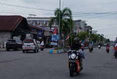 Ribuan APS Calon Terpasang di Bengkulu Selatan, Bawaslu Minta Tertibkan Sendiri, Terbanyak Calon Gubernur