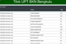 BREAKING NEWS! Ini 10 Besar Nilai SKD CPNS Kaur Sesi 1 Hari Kedua