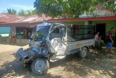 GAGAL MENYALIP! 2 Mobil Pick Up Terlibat Lakalantas dan Hantam Pohon Mangga, Begini Kondisi Korban 