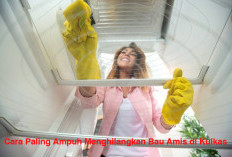 5 Cara Paling Ampuh Menghilangkan Bau Amis di Kulkas Anda 