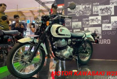 Motor Klasik Kawasaki W230  Begitu Menarik, Ini Spesifikasi 