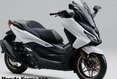 Motor Touring Premium Honda Forza 250 dengan Performa Gahar, Harga Sekennya 40 Jutaan