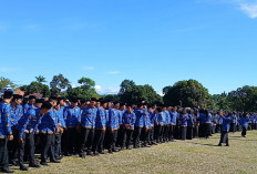 PPPK Paruh Waktu Tanpa THR, Rp 22 Miliar untuk THR PNS dan PPPK 