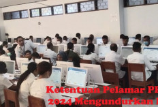 Pelamar PPPK 2024 Ingin Mengundurkan Diri, Simak Penjelasan dari BKN