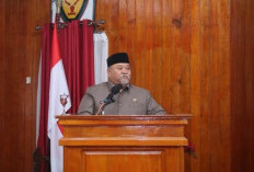Tingkatan SDM Sampai Mampu Berdaya Saing, Wabup Bengkulu Selatan Lakukan Program KB