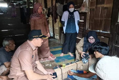 Ada Warga ODGJ di Bengkulu Selatan Dipasung, Perhatikan Langkah Dilakukan Dinkes
