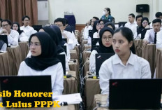 Tidak Ada Honorer Lagi 2025, Bagaimana Nasib Honorer Tak Lulus PPPK?