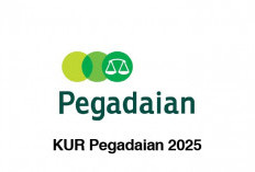 Cocok untuk Pengusaha Pemula! Dua Jenis KUR Pegadaian 2025 