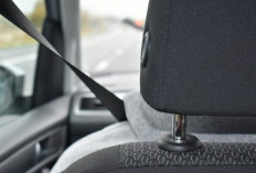 Mengurangi Risiko Terlempar dan Cedera! Ini Bahaya Jika Tidak Menggunakan Seatbelt