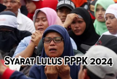 Guru Honorer Wajib Miliki 1 Syarat Mutak   Ingin Lulus PPPK 2024, Yuk Simak di Sini