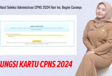 JANGAN SAMPAI HILANG! Inilah 3 Fungsi Kartu CPNS 2024 