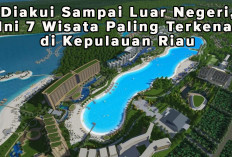 Diakui Sampai Luar Negeri, Ini 7 Wisata Paling Terkenal di Kepulauan Riau