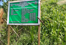 4.000 Batang Pohon Ditanam di Kawasan TNBBS Resort Merpas