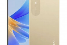 Ayo Miliki OPPO Murah, Simak Apa Saja Variannya