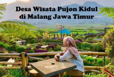 5 Destinasi di Malang Ini Wajib Dikunjungi, Simak Keindahannya!