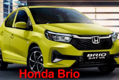 Honda Brio Makin Populer, Segini Harga Terbaru Per Juli 2025