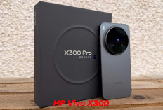 Vivo X300 dan Vivo X300 Pro, Ponsel Terbaik Musim Gugur, di Negara Ini Laku Keras