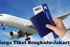 4 Kali Penerbangan Bengkulu-Jakarta di 15 Agutus, Berikut Harga Tiketnya