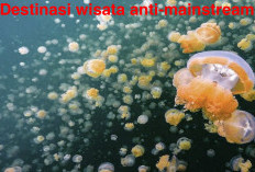 Unik Banget Loh! Inilah Destinasi Wisata Anti-Mainstream di Indonesia, Tertarik Berkunjung?