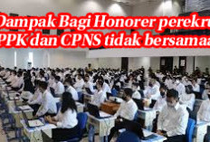 Perekrutan PPPK dan CPNS Tak Bersamaan,  Ini Dampaknya Bagi Tenaga Honorer