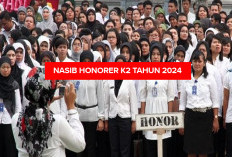 Bagaiaman Naib Honorer K2? Apakah Resmi Diangkat Menjadi PPPK 2024, Simak Penjelasannya