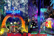 Wisata Hutan Mychelia; Tiket Masuk Rp 50 Ribu Ramai Pengunjung danPas Buat Tahun Baruan