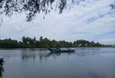 Ubah Pasar Bawah Bengkulu Selatan Jadi Pelabuhan Alternatif, KKP RI Siapkan Dana Rp 25 M