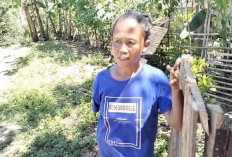 Era Modern, Pelajaran Bahasa Inggris Diganti Mulok, Keluhan Wali Murid Terganjal Kurikulum