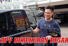 Lantaran APV Berukuran Besar,   Ini Artis yang Menggunakannya