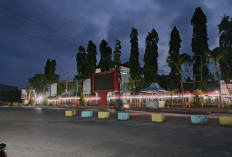 Jangan Anggap Remeh, 2025 Pajak Reklame di  Bengkulu Selatan Ditargetkan Rp 300 Juta 