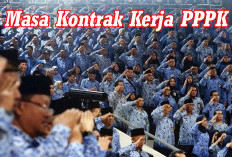 KABAR BAIK! Masa Kontrak Kerja PPPK Diperpanjang, Begini Penjelasannya 