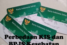 Jangan Sampai Salah! Ini Perbedaan KIS dan BPJS Kesehatan yang Wajib Diketahui