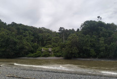 Pencarian Petani Kopi Hanyut Dihentikan