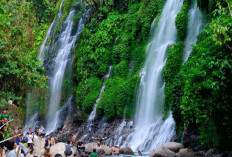Dikelilingi Pegunungan dan Bukit Barisan, Ini 9 Wisata Terbaik di Kabupaten Lahat 2024