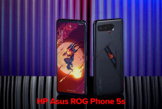 Review Handphone Gaming Paket Lengkap Asus ROG Phone 5s, Penuh dengan Spek Juara!