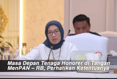 Masa Depan Tenaga Honorer di Tangan MenPAN – RB, Perhatikan Ketentuanya