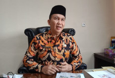 Capaian IKD Bengkulu Masih  Rendah, Ini Penyebabnya