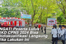 INGAT! Peserta Lulus SKD CPNS 2024 Bisa Didiskualifikasi Langsung Jika Lakukan Ini  