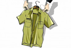 Belum Dilantik, dari 1.199 PPPK Bengkulu Selatan, 10 PPPK Mengundurkan Diri, Ini Alasannya