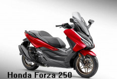 Warna dan Fitur Terbaru Honda Forza 250 Tahun 2025 Bikin Jatuh Cinta! Kepoin di Sini Yuk!