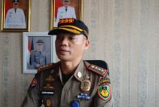 Ternak Liar Bikin Resah, Satpol PP Usul Sanksi Lelang, DPRD Bengkulu Selatan Diminta Revisi Perda