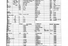 Warga Maje Terjangkit DBD, Kepastian Fogging Belum Ada