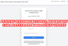 Jangan Sampai Ketinggalan, Begini Cara Daftar PPPK Lewat Online